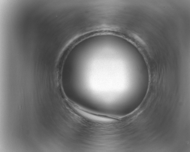 X0000069411310200605262158