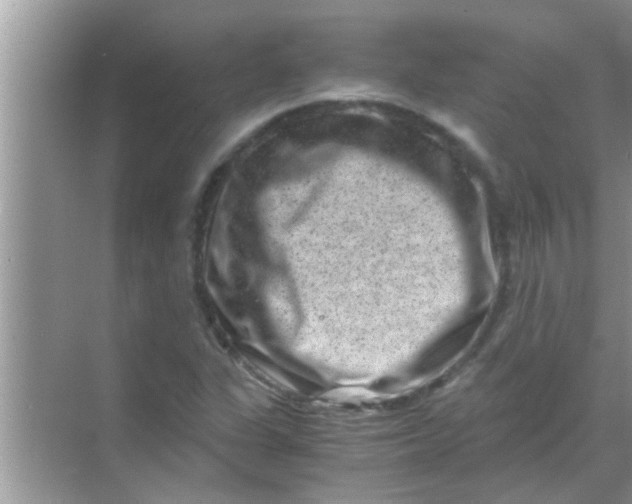 X0000069411311200605262158