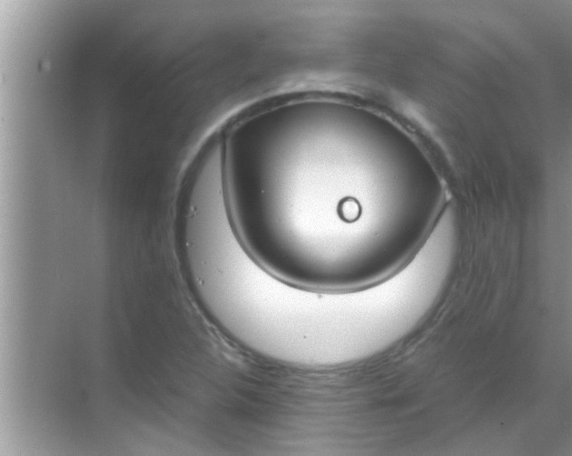 X0000069411312200605262158