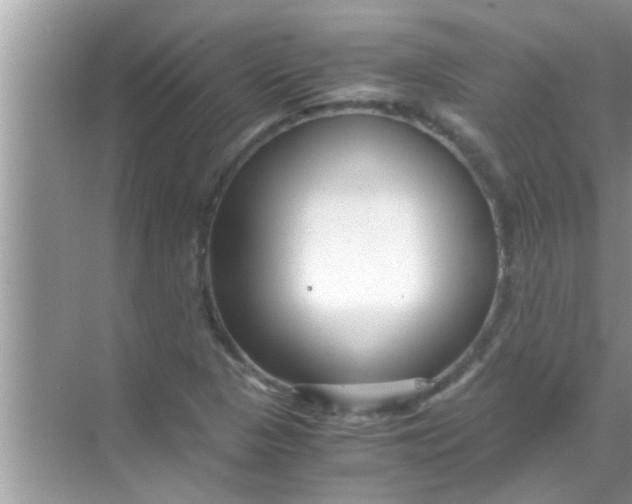 X0000069411313200605262158