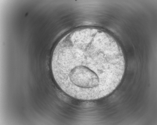 X0000069411314200605262158