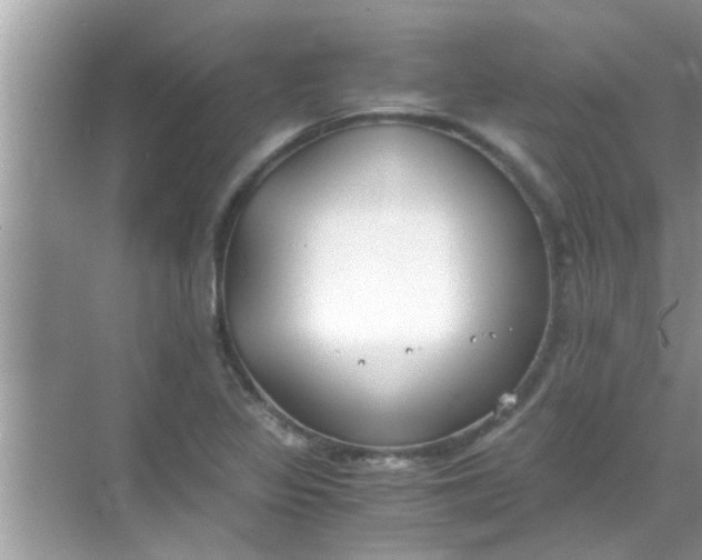 X0000069411317200605262158