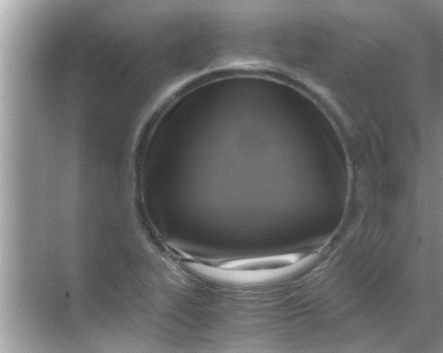 X0000069411319200605262159