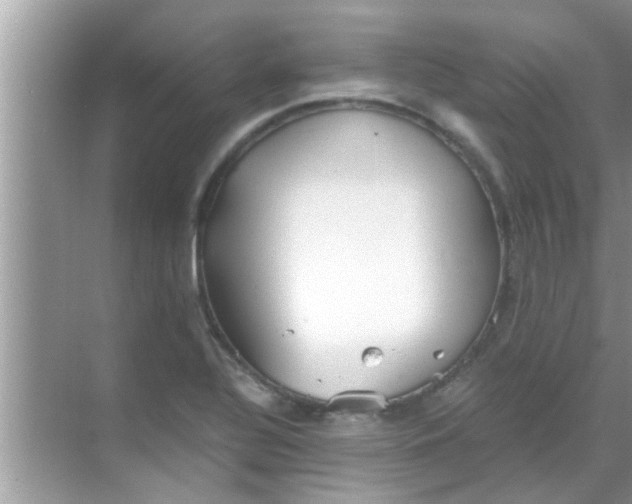 X0000069411320200605262159