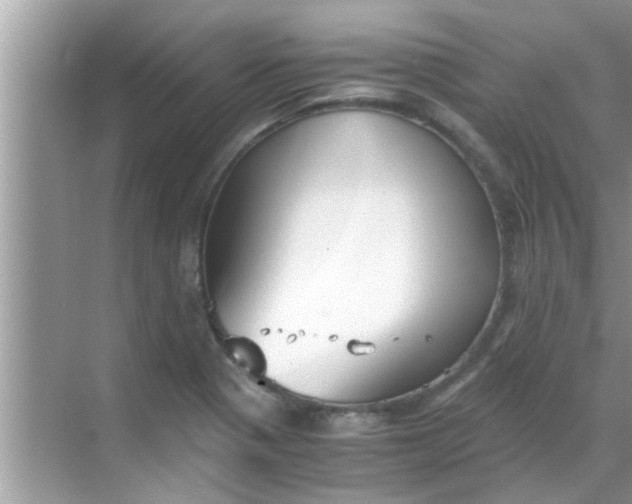 X0000069411321200605262159