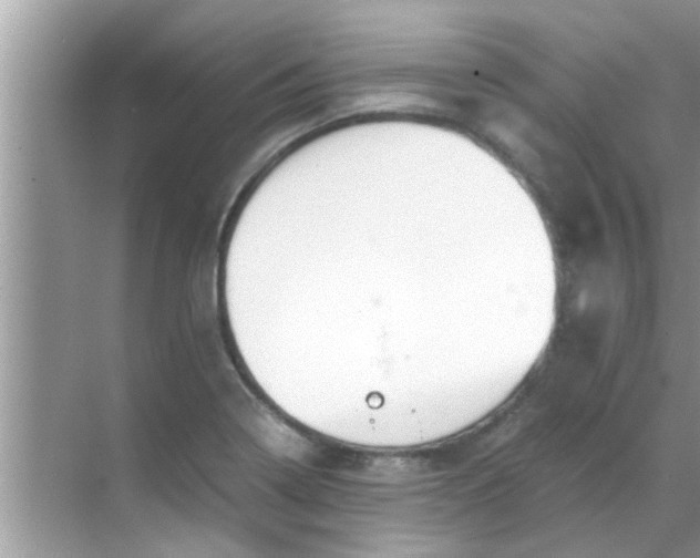 X0000069411322200605262159