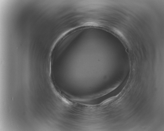 X0000069411323200605262159