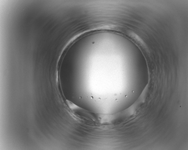 X0000069411324200605262159