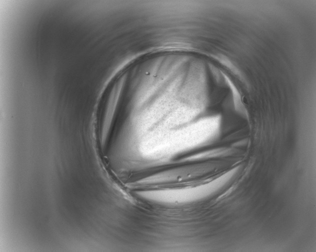 X0000069411325200605262159