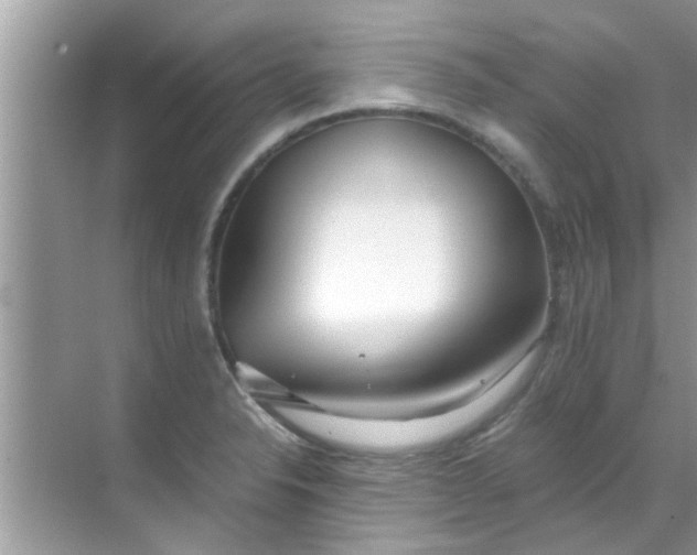 X0000069411326200605262159