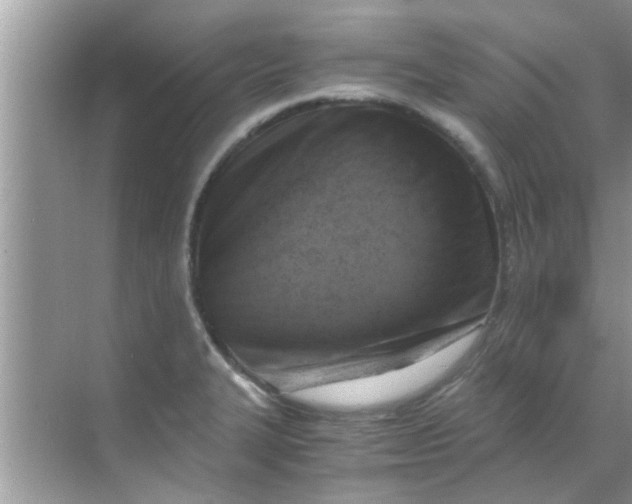 X0000069411327200605262159