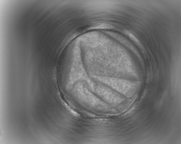 X0000069411329200605262159