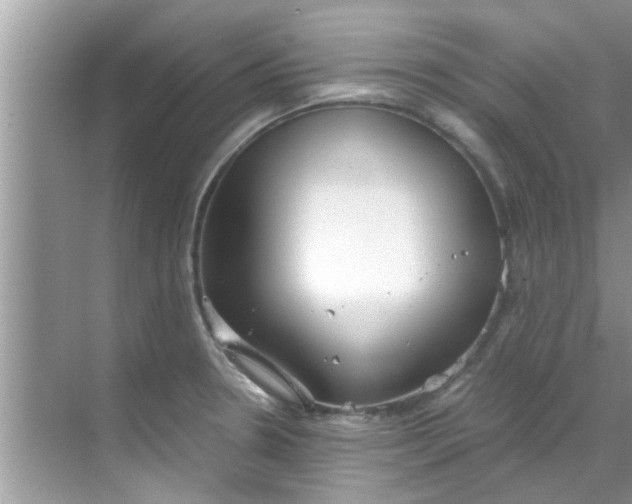 X0000069411330200605262159