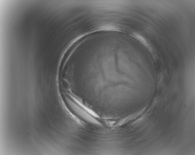 X0000069411331200605262159