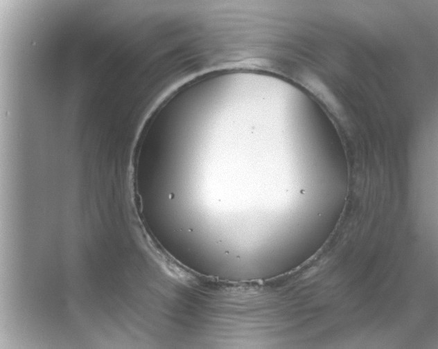 X0000069411332200605262159