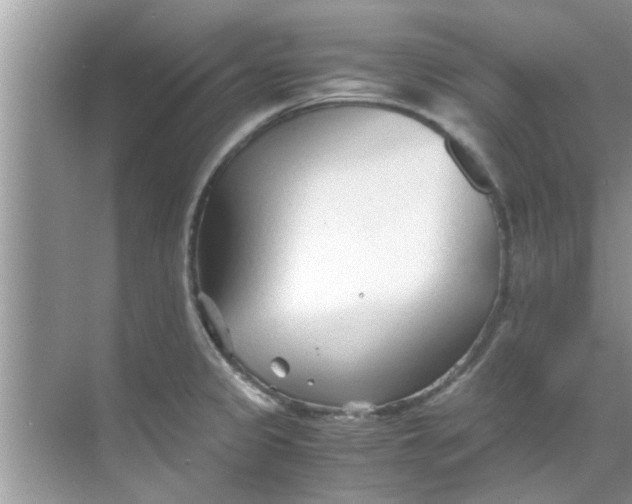 X0000069411333200605262159