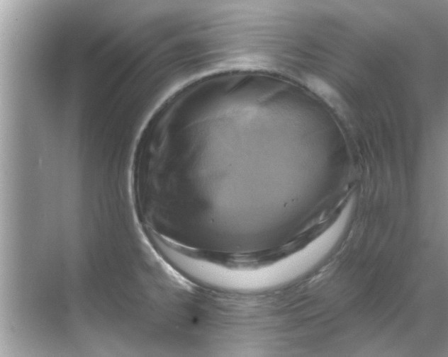 X0000069411334200605262159