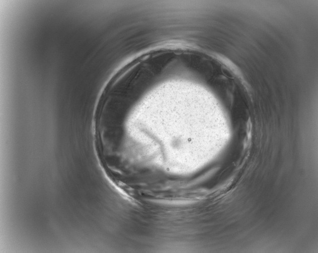 X0000069411335200605262159