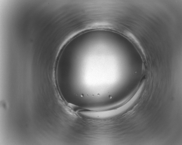 X0000069411336200605262159