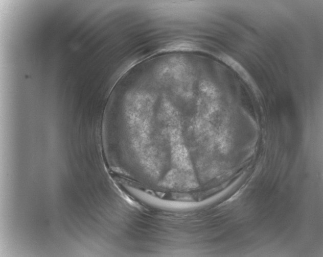 X0000069411337200605262159