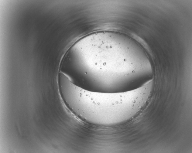 X0000069411338200605262159