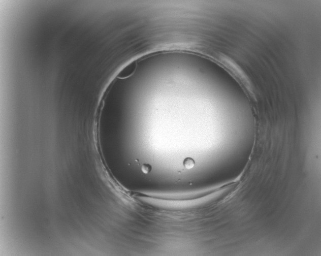 X0000069411340200605262159