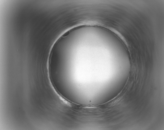 X0000069411343200605262159