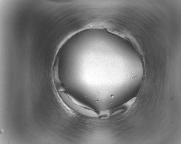 X0000069411344200605262159