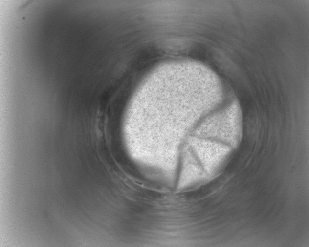 X0000069411346200605262158