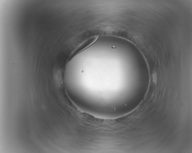 X0000069411347200605262158