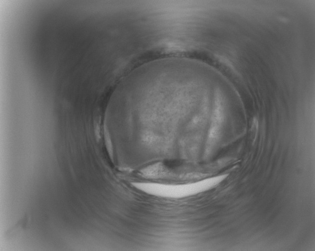 X0000069411348200605262158