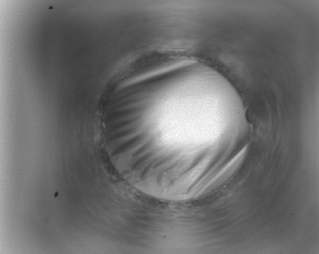 X0000069411350200605262158