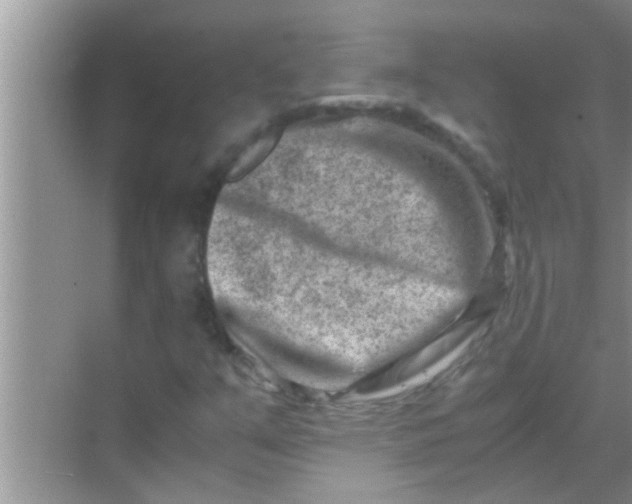 X0000069411351200605262158