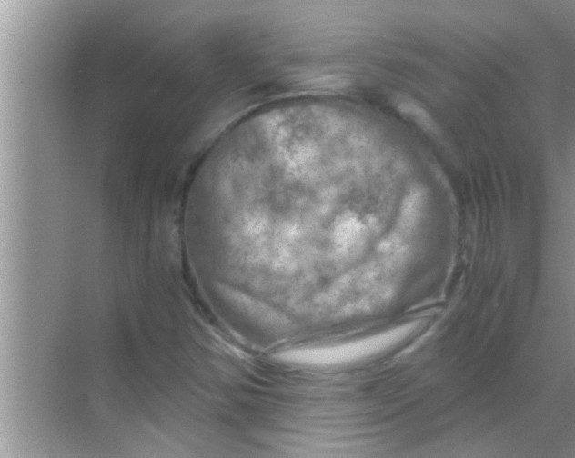 X0000069411354200605262158