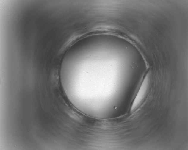 X0000069411355200605262158