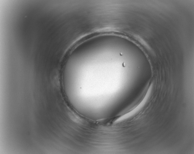 X0000069411356200605262158