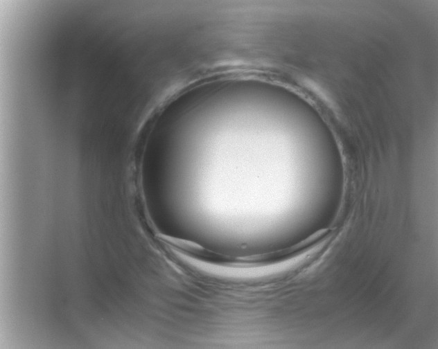 X0000069411357200605262158