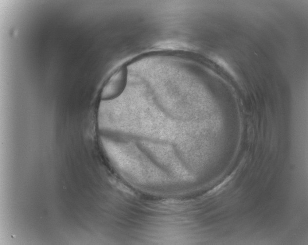 X0000069411358200605262158