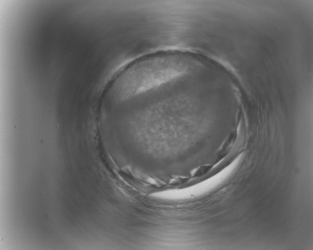 X0000069411359200605262158