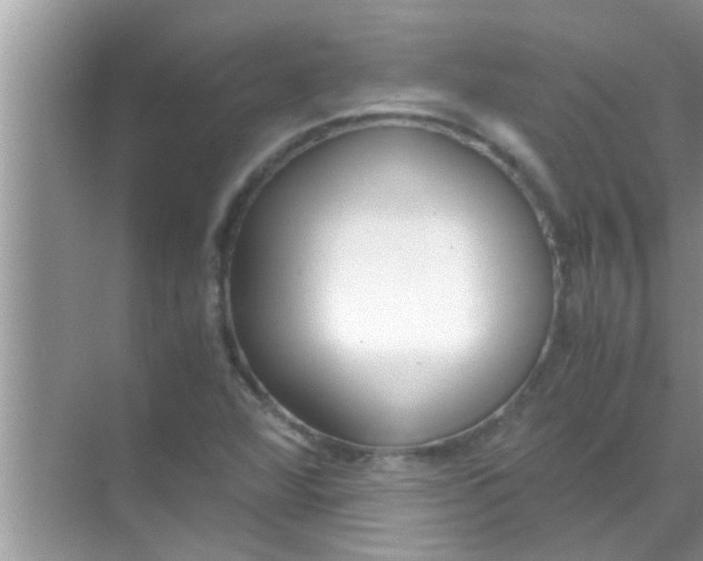 X0000069411360200605262158