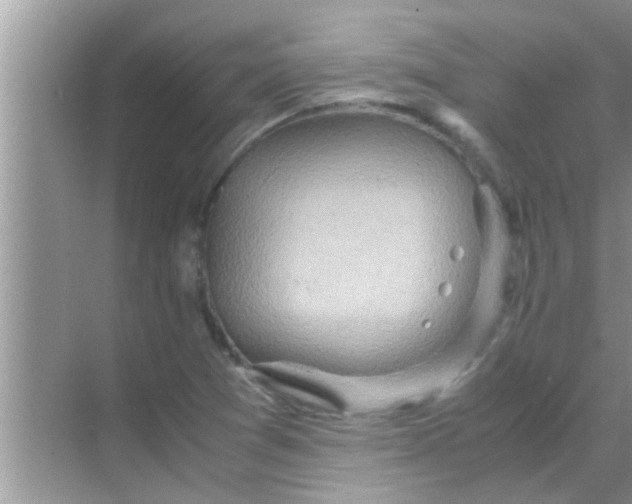 X0000069411361200605262158