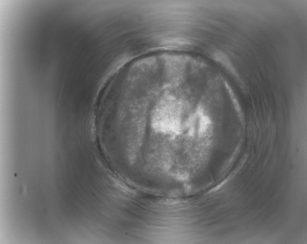 X0000069411362200605262158