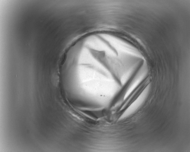 X0000069411363200605262158