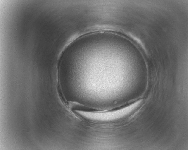 X0000069411365200605262158