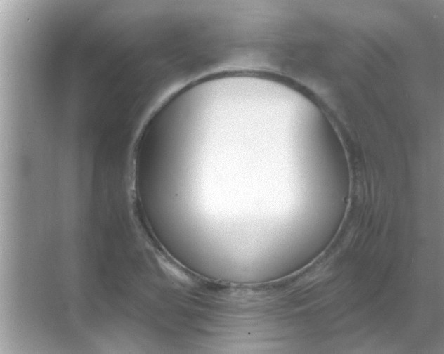 X0000069411366200605262158