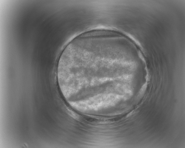 X0000069411367200605262158