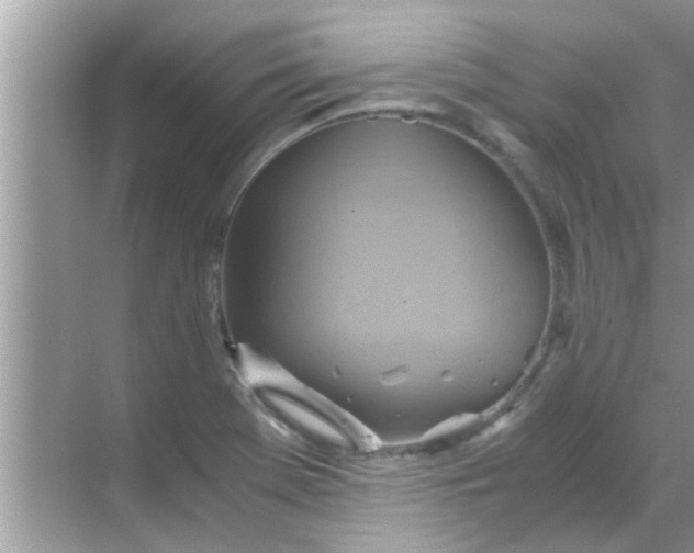 X0000069411369200605262158