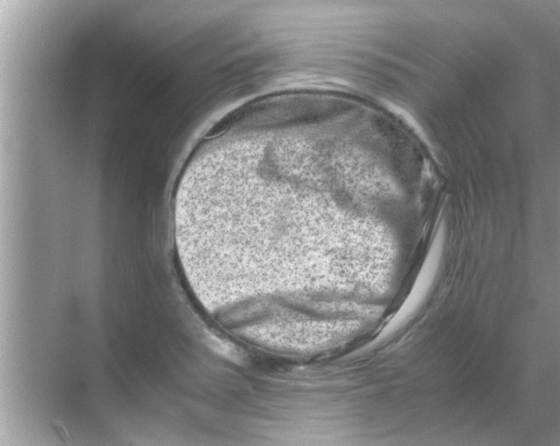 X0000069411371200605262158