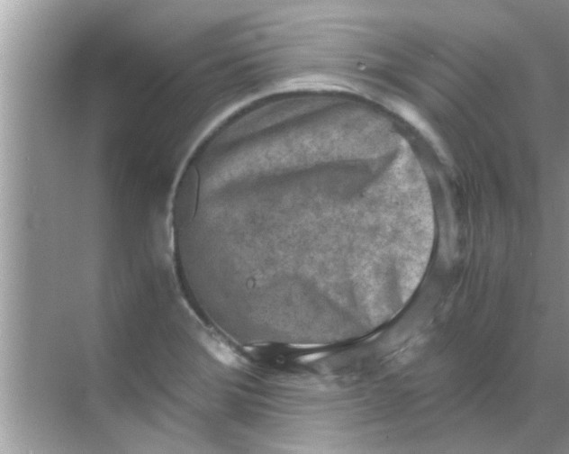 X0000069411372200605262158