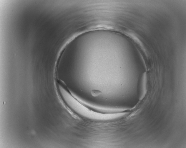 X0000069411373200605262158